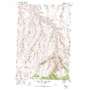 Gurdane USGS topographic map 45119c1