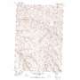 Skinners Fork USGS topographic map 45119c4