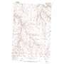 Gooseberry USGS topographic map 45119c8