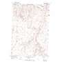 Ione South USGS topographic map 45119d7