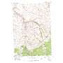 Salmon Fork USGS topographic map 45120a1