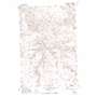 Indian Spring USGS topographic map 45120c4