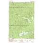 Vinemaple USGS topographic map 45123h5