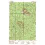 Saddle Mountain USGS topographic map 45123h6