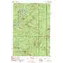 Wadleigh Pond USGS topographic map 46069c6
