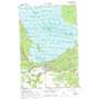 Brimley USGS topographic map 46084d5