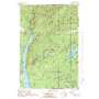 Forest Lake USGS topographic map 46086c7