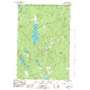 Ned Lake USGS topographic map 46088d3