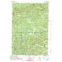 Mount Curwood USGS topographic map 46088f2