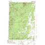 Pine Lake USGS topographic map 46088h6