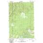Island Lake USGS topographic map 46091d5