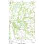 Fort Ripley USGS topographic map 46094b3