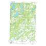 First Crow Wing Lake USGS topographic map 46094g7