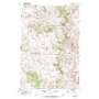 Buck Mountain USGS topographic map 46105d4
