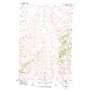 Griffin Coulee Nw USGS topographic map 46106b8