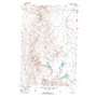 Brown Coulee USGS topographic map 46107f1