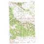 Bald Butte USGS topographic map 46108g8