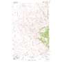 Moore Sw USGS topographic map 46109g6