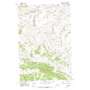 Forestgrove USGS topographic map 46109h1