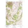 Hatfield Mountain USGS topographic map 46110a8