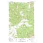 Virginia Peak USGS topographic map 46110b4