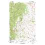 Woodhurst Mountain USGS topographic map 46110h3