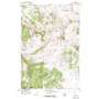 Lingshire USGS topographic map 46111g4