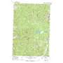 Fred Burr Lake USGS topographic map 46113c2