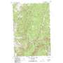 Cedar Ridge USGS topographic map 46114c6