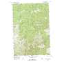 Mcconnell Mountain USGS topographic map 46114c8