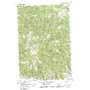 Blue Mountain USGS topographic map 46114g2