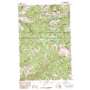 Bruin Hill USGS topographic map 46114g8
