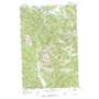 Petty Mountain USGS topographic map 46114h4