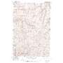 Waitsburg Nw USGS topographic map 46118d2