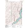 Snake River USGS topographic map 46118d6