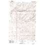 Rye Grass Coulee USGS topographic map 46118d8