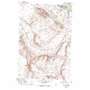 Badger Mountain USGS topographic map 46119b3