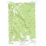 Trout Lake USGS topographic map 46121a5