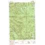White Pass USGS topographic map 46121f4