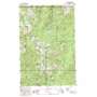 Cougar Lake USGS topographic map 46121g4