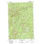 Old Scab Mountain USGS topographic map 46121h2