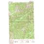 Goose Prairie USGS topographic map 46121h3