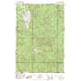 Wickiup Mountain USGS topographic map 46123a5