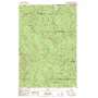 Abernathy Mountain USGS topographic map 46123c1