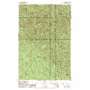 Elochoman Pass USGS topographic map 46123d3