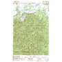 South Elma USGS topographic map 46123h4
