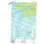 Feldtmann Lake USGS topographic map 47089g2
