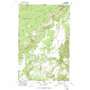 Ford USGS topographic map 47117h7