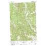 Tyee Mountain USGS topographic map 47120g4