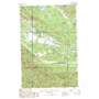 Ronald USGS topographic map 47121b1